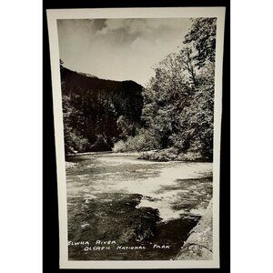 Elwha River RPPC Postcard Vintage Port Angeles WA Olympic National Park